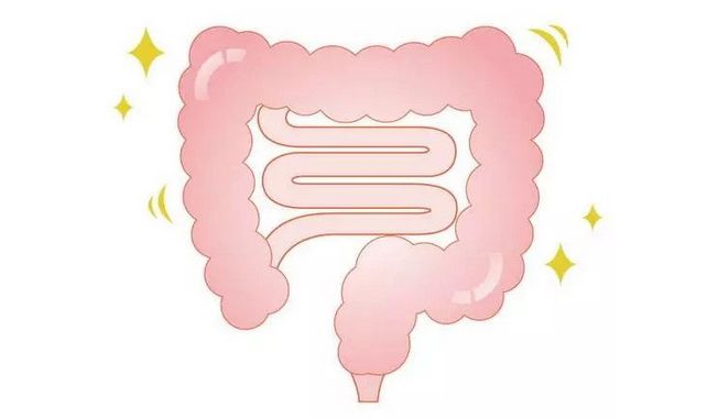 能健康调养身体的同时又能改善内在肤质方法，你Get到了吗？