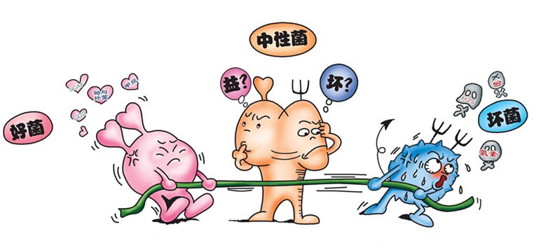 菌群