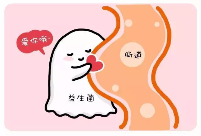 益生菌